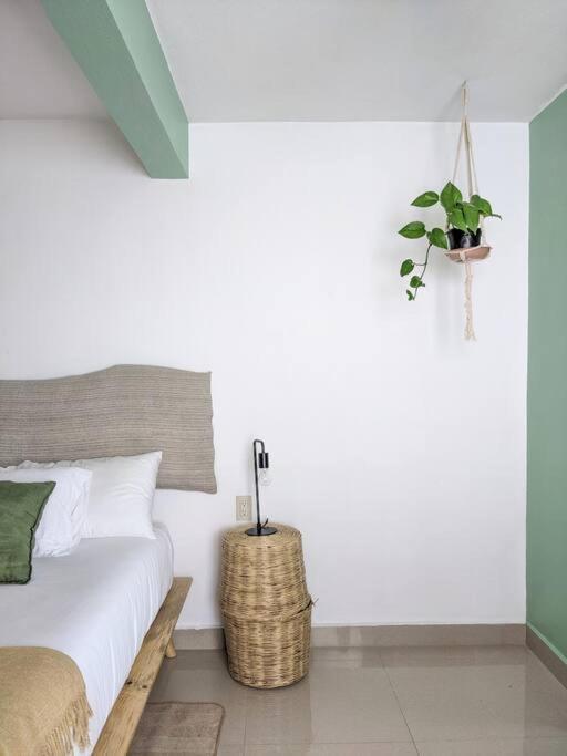 Casa Mua Hotell San Cristóbal de Las Casas Eksteriør bilde