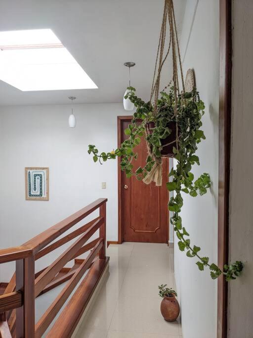 Casa Mua Hotell San Cristóbal de Las Casas Eksteriør bilde