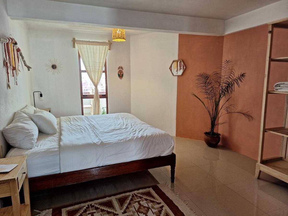 Casa Mua Hotell San Cristóbal de Las Casas Eksteriør bilde